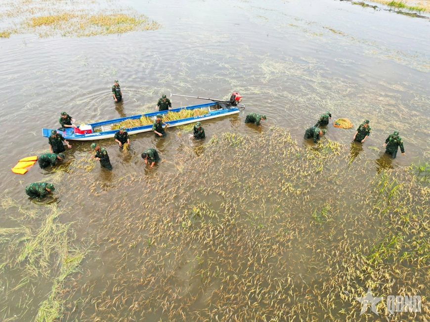 Không quản hy sinh